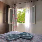 Country House 度假居